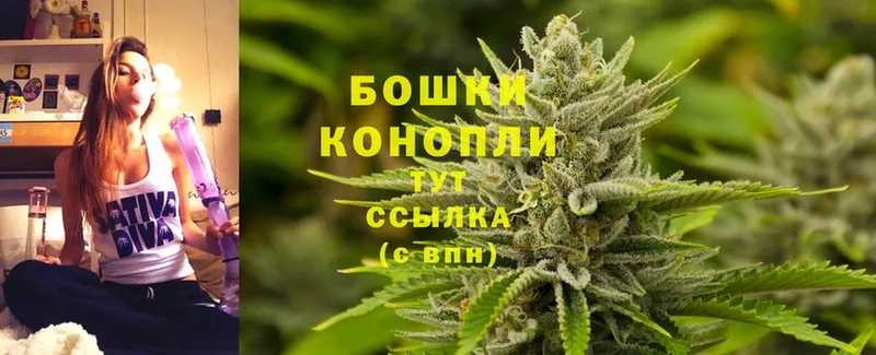 OMG как войти  Ельня  Бошки марихуана OG Kush 